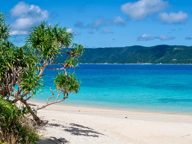奄美大島の海